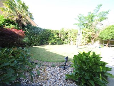 Picture 20